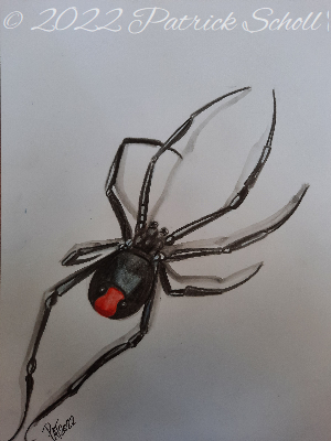 Red back
